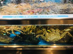 -盒马鲜生(大成店)