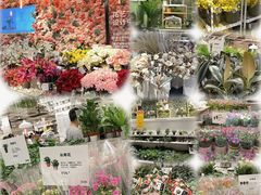 -IKEA宜家家居(南京商场)