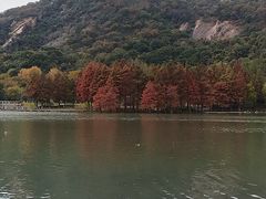 -长广溪湿地公园