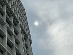 -香港大学