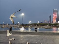 -东港音乐喷泉广场