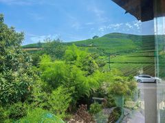 -龙坞茶村