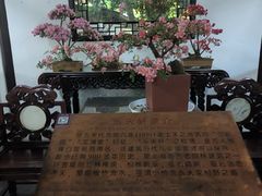 -上海醉白池公园