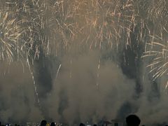 -南宁花花大世界景区