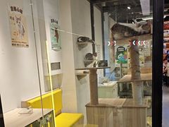 -废柴猫概念馆·桌游电玩卡牌(人广世茂店)