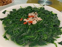 -鹅城