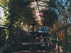 -The Grounds of Alexandria