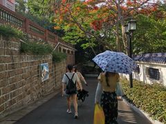 -鼓浪屿钢琴博物馆