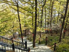 -崂山巨峰游览区
