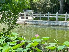-济南大明湖景区