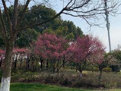 -尚贤河湿地