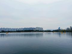 -洋湖国家湿地公园