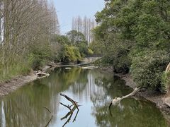 -上海滨江森林公园
