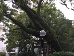 -香港大学