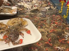 海鲜汇-钱库里海鲜自助(星海广场店)