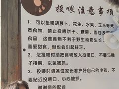 -北京鹿世界主题园
