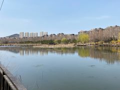 -前关湿地公园
