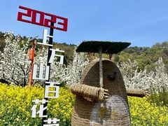 -苏州上方山国家森林公园