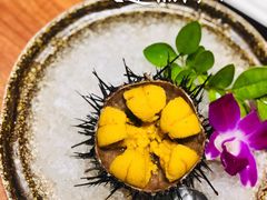 大连黑海胆-大吉鲜鱼料理自慢(维也纳大厦店)