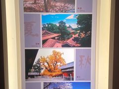 -大觉寺-停车场