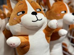 -KKV(深圳宏发大仟里店)