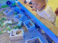 -宝贝王(惠州大亚湾店)