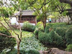 -上海醉白池公园
