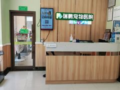 -瑞鹏宠物医院·夜间急症·心超·猫科(祖庙分店)