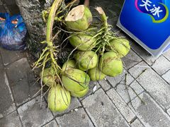 -西双版纳傣族园