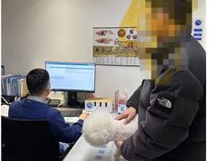 -北京派仕佳德动物医院·超导核磁·CT·神经科·骨科·内外科·急重症管理中心