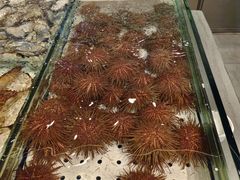 -苏大嘴蒸汽海鲜·海胆蒸饺(中山广场店)