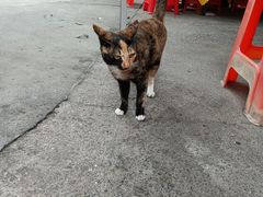 -大笑饭堂(甲子桥店)