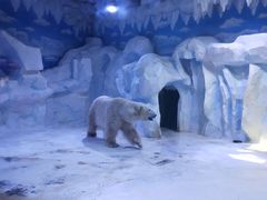 -芜湖新华联大白鲸海洋公园