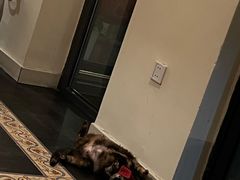 -EATALIA意塔利意式餐厅(鼓楼店)