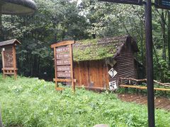 -五营红松林海景区