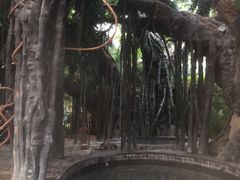 -龙达温泉生态城