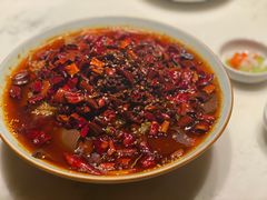 毛血旺-初蓉丨遇见新川菜(亲贤街荣耀店)