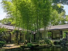 -南山植物园
