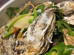 -千岛蚝高压锅生蚝·人参火锅(白云万达店)