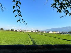 -喜林苑·稻田餐厅(品相府店)