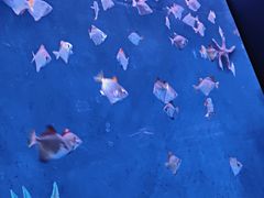 -沈阳海洋探索中心