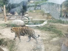 -泉州海丝野生动物世界