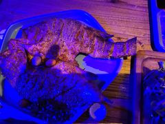 -那些年记忆烧烤