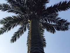 -苏州吴中太湖旅游区