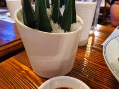-胡桃里音乐酒馆(海雅缤纷城店)