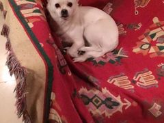 -哈尔滨北方国际青年旅舍(中央大街店)