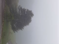 -武陵山森林公园