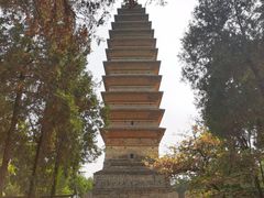-洛阳白马寺