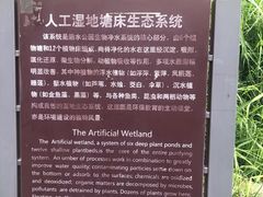 -成都市活水公园