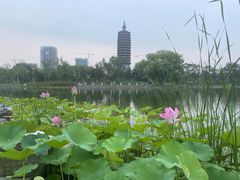 -西海子公园